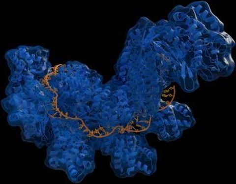 CRISPR_Cas_Advanced