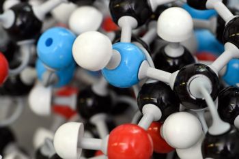 Mol-Bio_480