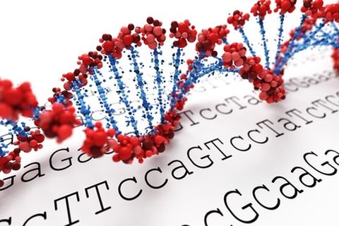 DNA-480