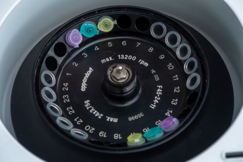 PCR_480
