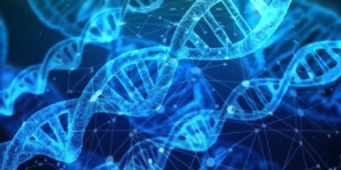 Plasmid_480-Apr22