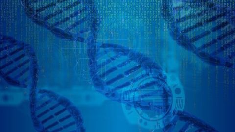Bioinformatik